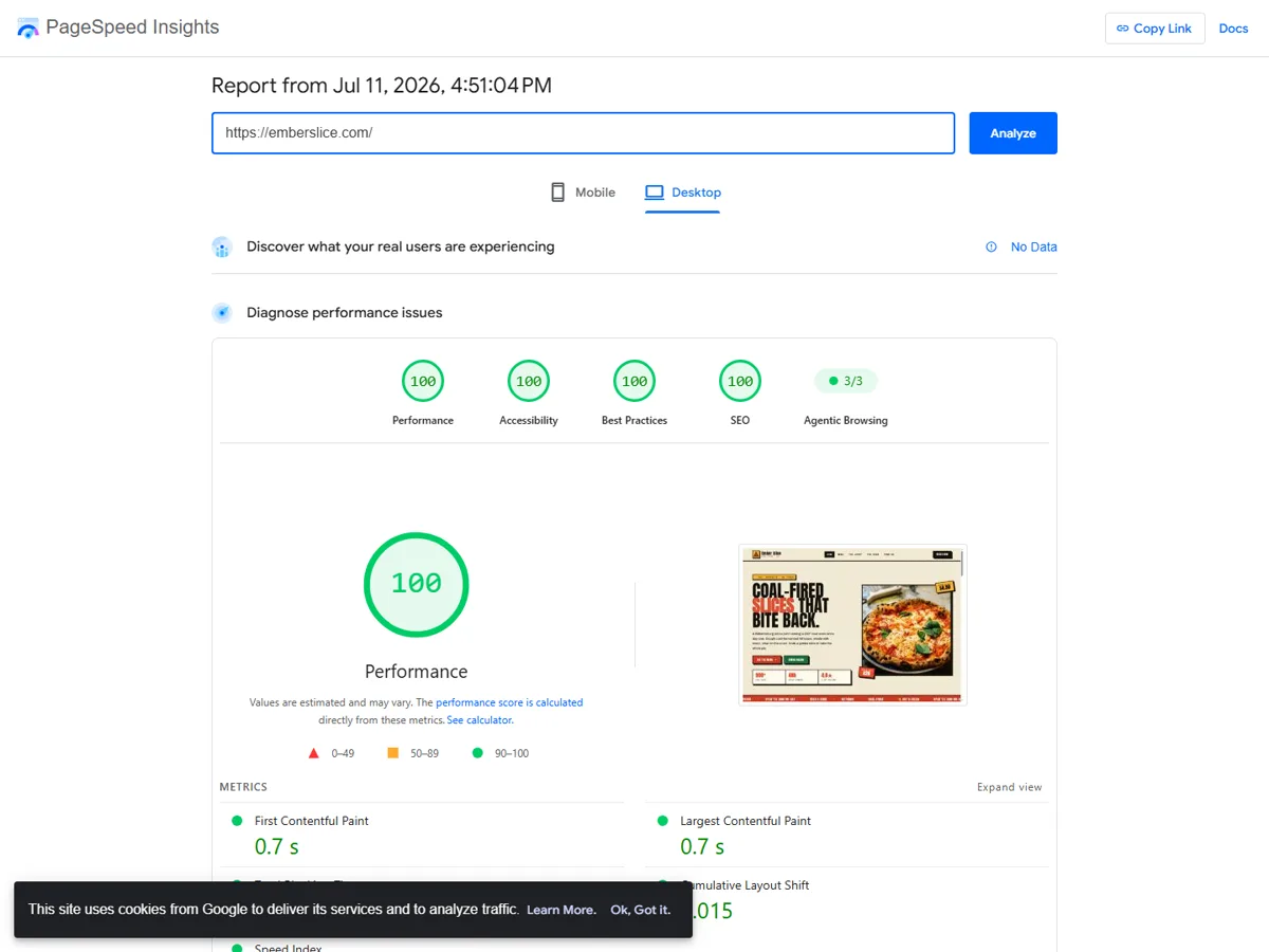 Google PageSpeed Insights desktop report for Ember Slice showing 100 performance