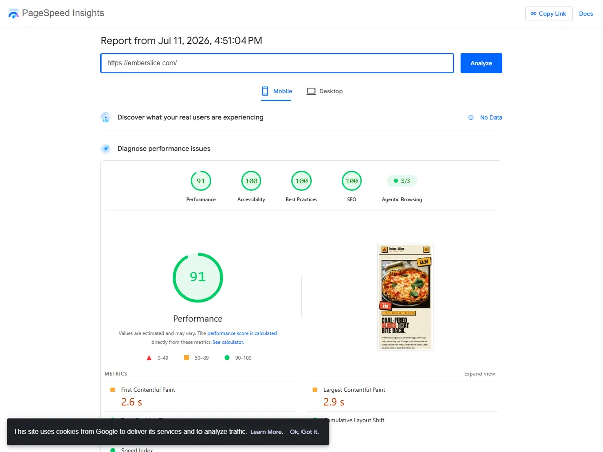 Google PageSpeed Insights mobile report for Ember Slice showing 91 performance